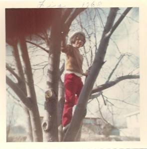 1968 LP tree