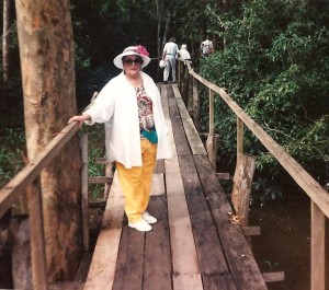 Els 1994 Amazon bridge