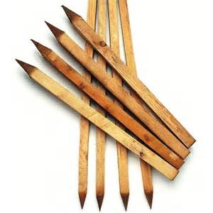 wooden stakes